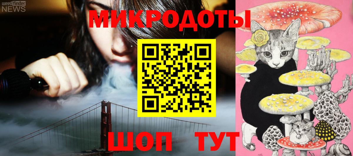 Псилоцибиновые грибы Psilocybe Пушкино