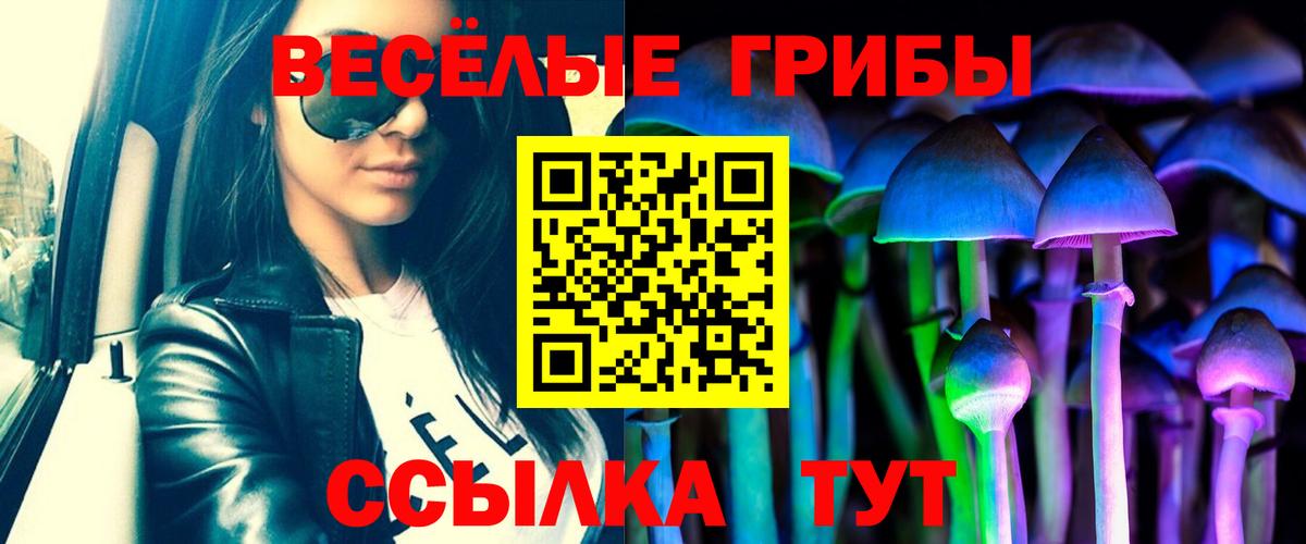 Пушкино  Галлюциногенные грибы Psilocybine cubensis  Псилоцибиновые грибы Magic Shrooms  Вход с VPN 